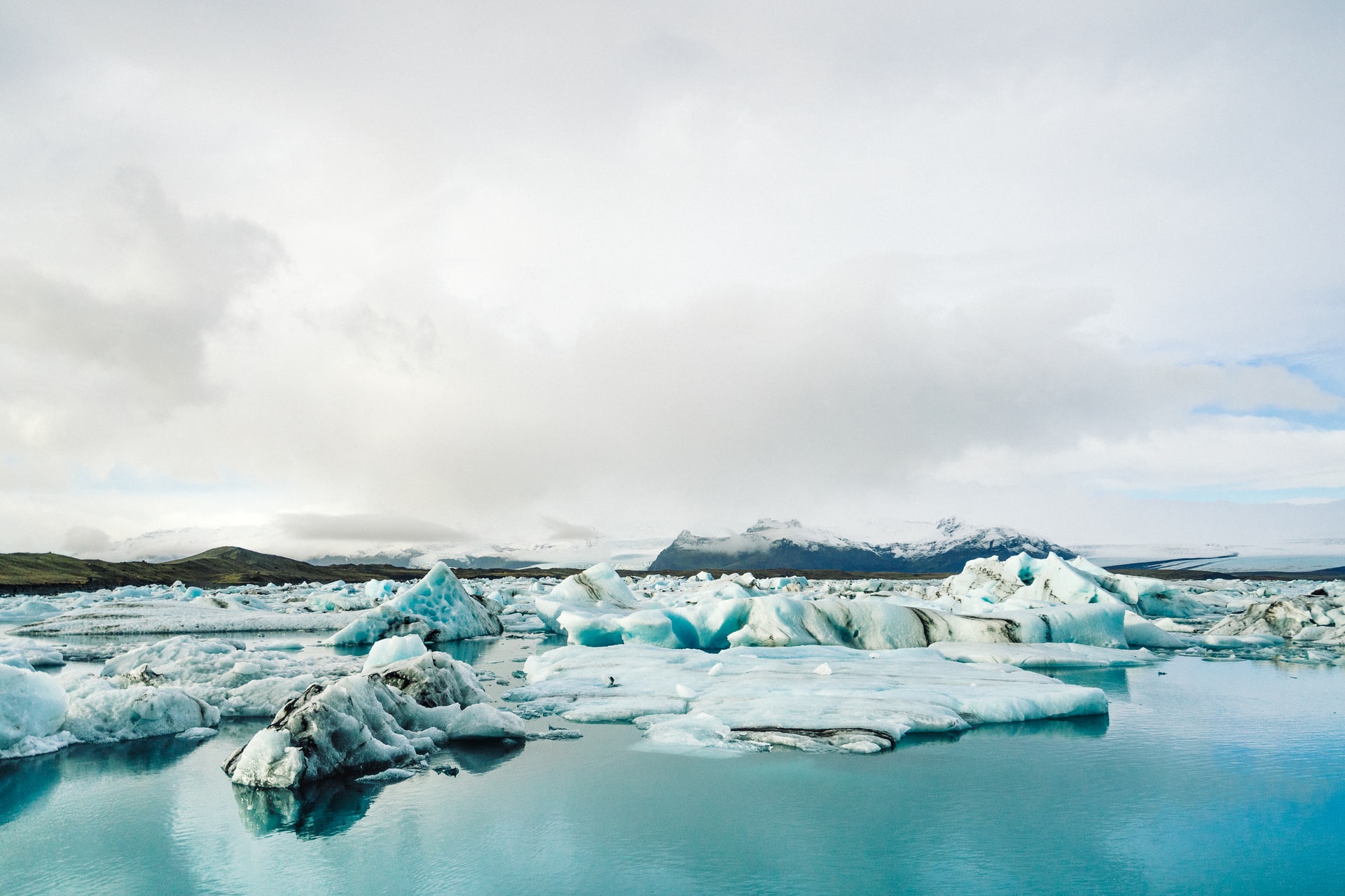 Искусственный интеллект прогнозирует таяние морского льда в Арктике