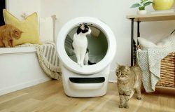 Искусственный интеллект для домашних животных