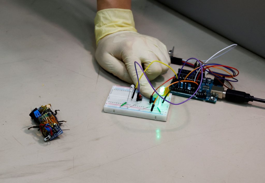 «Рюкзаки» с солнечными батареями и электроникой, которые устанавливаются на тараканов, позволяют управлять их движением дистанционно