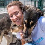 ИИ готов помочь собакам из приюта обрести семью