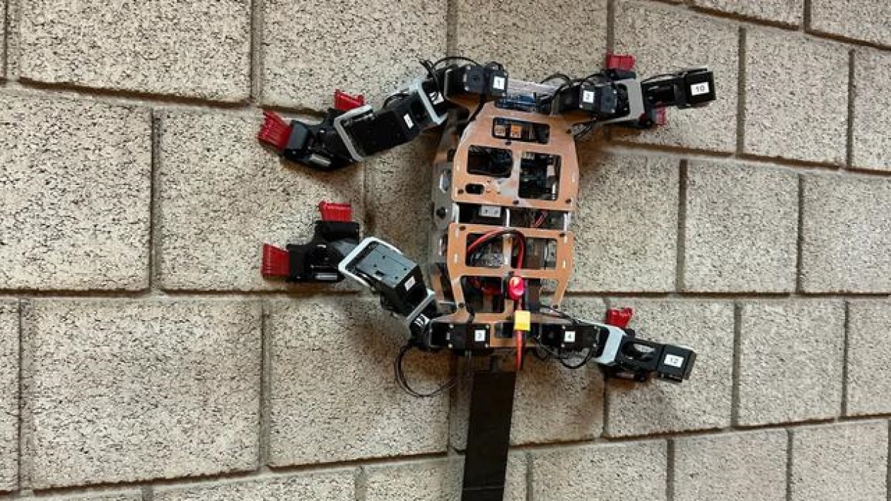 Робот-скалолаз LORIS карабкается по стенам с помощью захватов-крючков