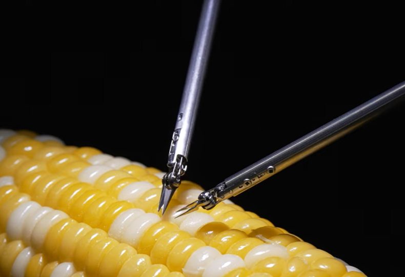Робот-микрохирург Sony прооперировал зернышко кукурузы