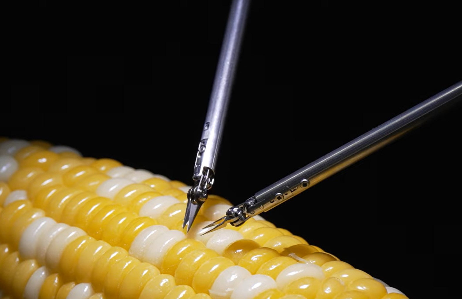 Робот-микрохирург Sony прооперировал зернышко кукурузы