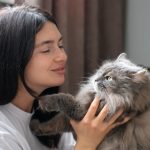 Искусственный интеллект переведет язык животных на человеческий